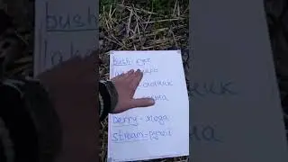 мой сон при температуре 37 🏴‍☠️