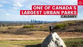 Exploring Nose Hill Park in Calgary: One of Canada's LARGEST URBAN PARKS!