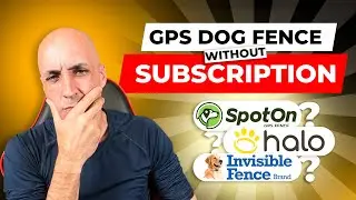 Best GPS Dog Fence of 2025: Only ONE Collar Can Do This!