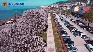 GİRESUN #BULANCAK ÇEVRE DÜZENLEME ÇALIŞMASI