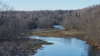 река Большая Коша. май.