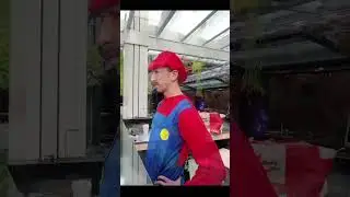 Mario and Luigi visit the Italian Festival #mario #luigi #cosplay #wholesome