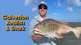 Fishing Galveston | Redfish and Shark in the Texas Gulf