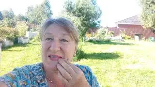 Я И В ДЗЕНЕ ОТВЕТЫ НА КОММЕНТАРИИ ЗРИТЕЛЕЙ ОБЗОР САДА ОГОРОДА