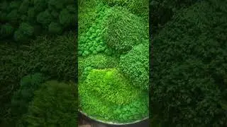 В самое сердечко 🌱