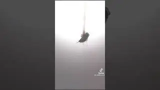23 октября 2022 г.