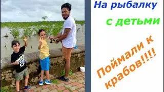 Поймали крабов и сома! 