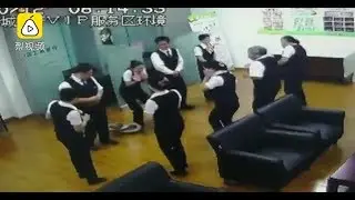 Staff meeting in Nanning interrupted by python falling from the ceiling