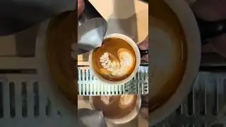 5 Different Latte Arts