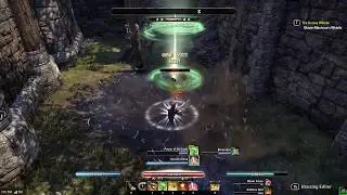 Stamina Templar Build and Rotation | Horns of the Reach | ESO
