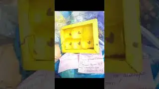 22 июня 2023 г.