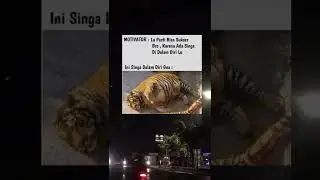 MOTIVASI LUCU UNTUK DIRI SENDIRI |BAKUL HIBURAN| #shorts #shortvideo #viralshorts #fyp