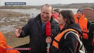 Свиней затопило: животные спасаются от потопа в Подмосковье