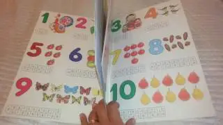 СЧЕТ 5 В ОДНОМ. Плакат, наклейки, раскраска, карточки, игра. Издательство " СТРЕКОЗА".