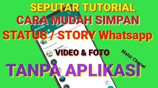 how to save videos on wa status without an application easily