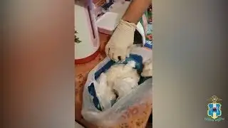Ростовские полицейские пресекли сбыт наркотических средств в особо крупном размере