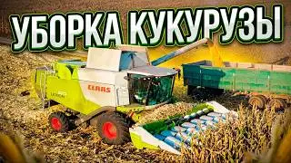 Corn harvesting - combine Claas Lexion 670 and Claas Lexion 580