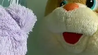 Безопасность дорожного движения