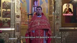 Воскресная проповедь иерея Димитрия Ваулина_4 февраля 2018