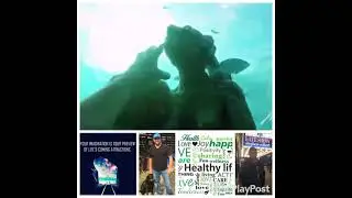 Live Your Best Life