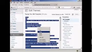 WP 404 Error Customization