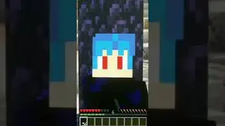 Pernah ga si kalian di minecraft begini 