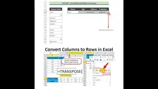How to convert data rows to columns in Microsoft Excel