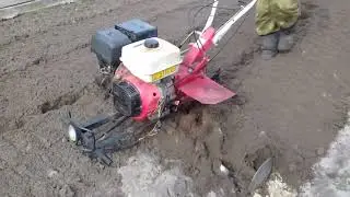 Культивация 2022. Сезон открыт .