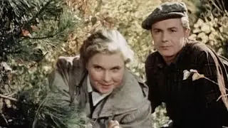 Случай в тайге (1953 год) советский фильм