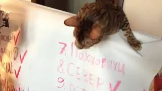 Грот - Дневник альбома (Эпизод 7)