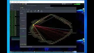 Identify Network traffic with EtherAPE    a graphical network monitoring tool