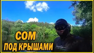 ОХОТА НА СОМА ПОД КРЫШАМИ | ЗАЕХАЛИ НА РОДНИКИ | ПОДВОДНАЯ ОХОТА 2021