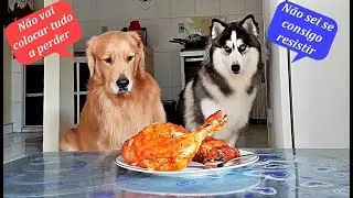 Deixei os dois sozinhos com um frango assado enorme - Será que conseguem resistir?? 🤔🤔🤔