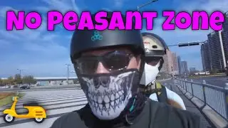 No peasants