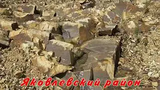 Ой, да лети , пташка канарейка