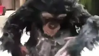 Kata baba