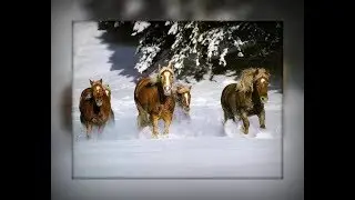 Снег кружится