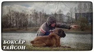КРИЗИС. ВЫЖИВАНИЕ. ОХОТА НА УТОК С СОБАКОЙ
