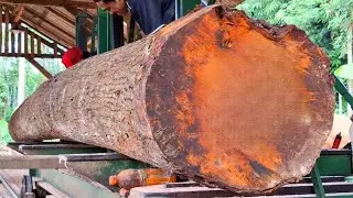 This genius trick will save you millions of dollars when sawing wood at the sawmill. 