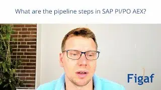 What are the pipeline steps in SAP PI PO AEX