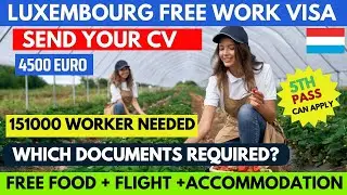 Luxembourg Country Work Visa 2024 | Luxembourg work permit visa | Luxembourg work visa 2024