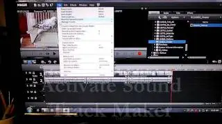 Adding Video Background Music with Magix Pro X Software