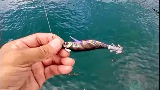 【エギング】小さいエギは抱きやすいがアピール力は大きいエギ。egging squid