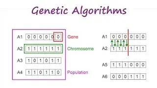 Crossover Operators In Binary Coded Genetic Algorithms
