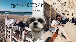 Мечты сбываются/прилетели/Израиль