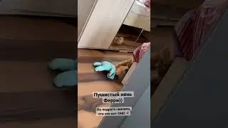 Кот ОНО 🎈