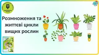 Розмноження та життєві цикли вищих рослин