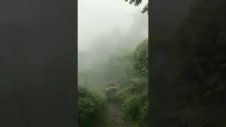 Rain #nature #naturesounds #релакс #beautiful #shorts #4k
