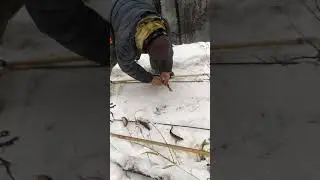 Рыбалка на телевизеры