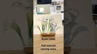 Arum Lilies